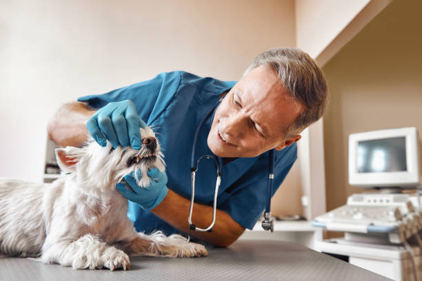 Best Tooth Pain Emergency Relief  in Wildwood, FL